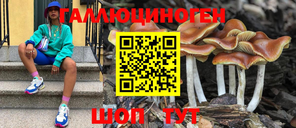 Псилоцибиновые грибы мухоморы Саранск